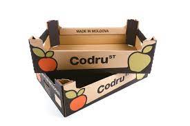 Carton packaging for fruits